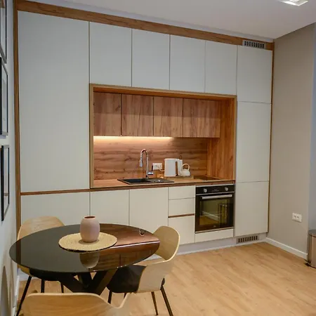 Luxury House Center Apartment